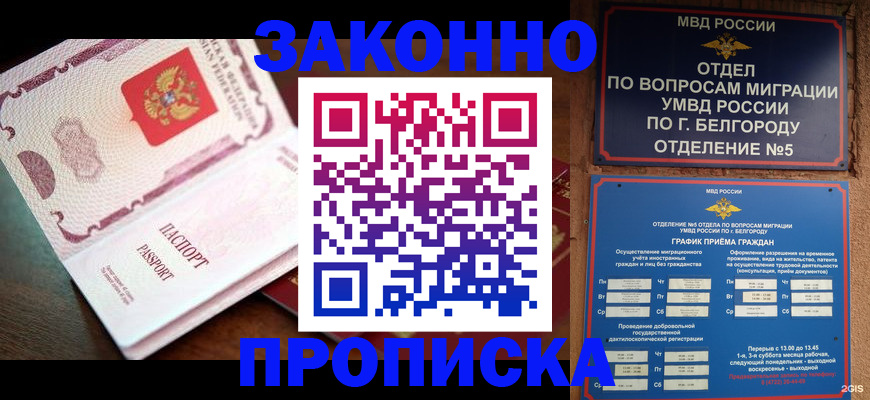 временная регистрация для школы в Волоколамске